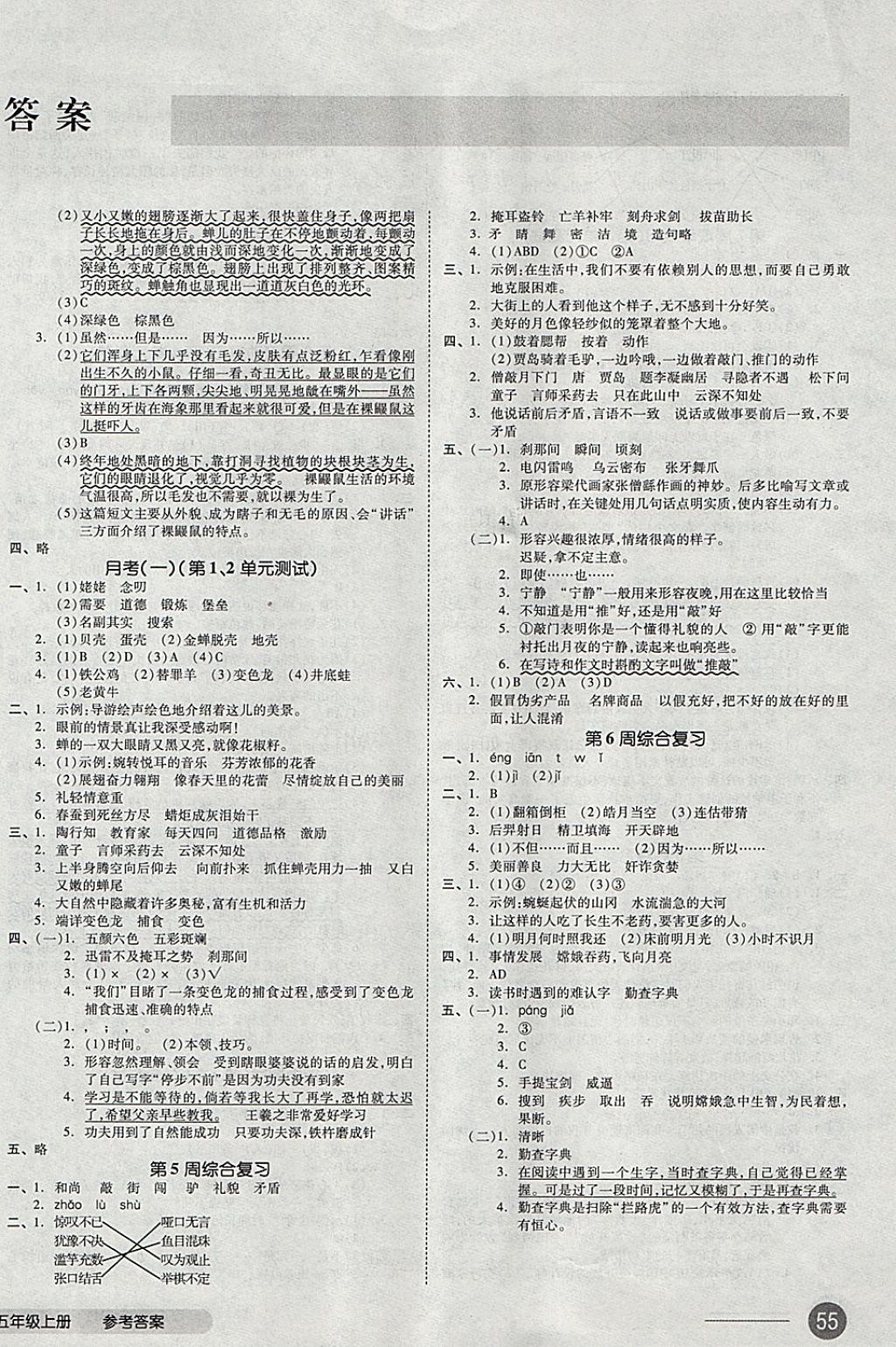 2017年全品小復(fù)習(xí)五年級(jí)語文上冊蘇教版 參考答案第2頁