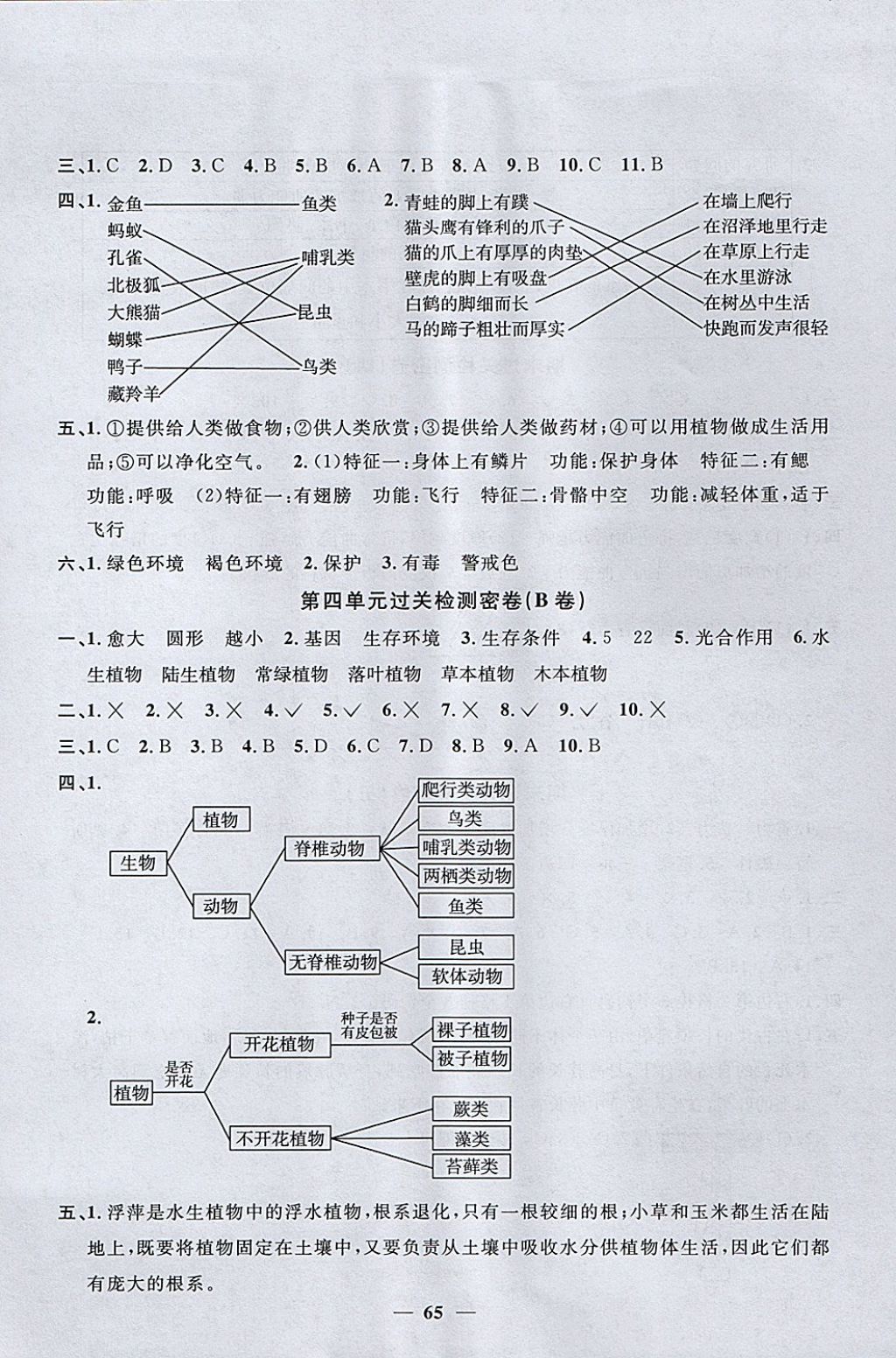 2017年陽(yáng)光同學(xué)一線名師全優(yōu)好卷六年級(jí)科學(xué)上冊(cè)教科版 參考答案第5頁(yè)