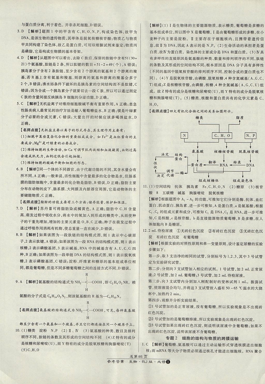 2018年萬(wàn)向思維百?gòu)?qiáng)名校統(tǒng)一卷生物必修1人教版 參考答案第29頁(yè)