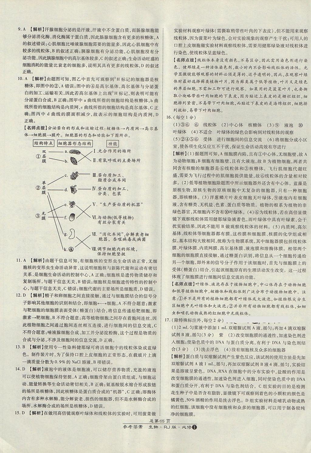 2018年萬向思維百強名校統(tǒng)一卷生物必修1人教版 參考答案第9頁