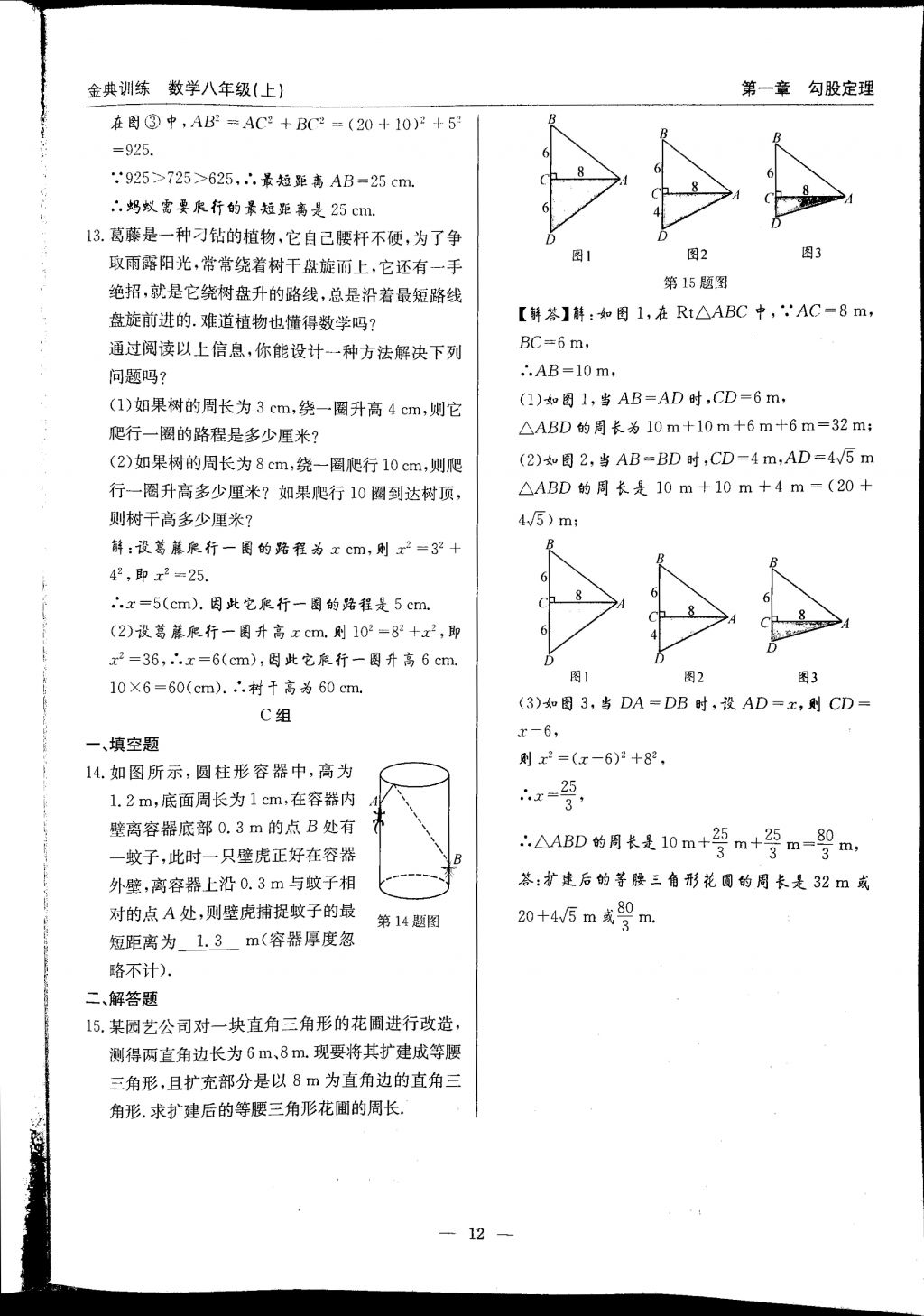 2017年金典訓(xùn)練八年級(jí)數(shù)學(xué)上冊(cè)北師大版 參考答案第12頁(yè)