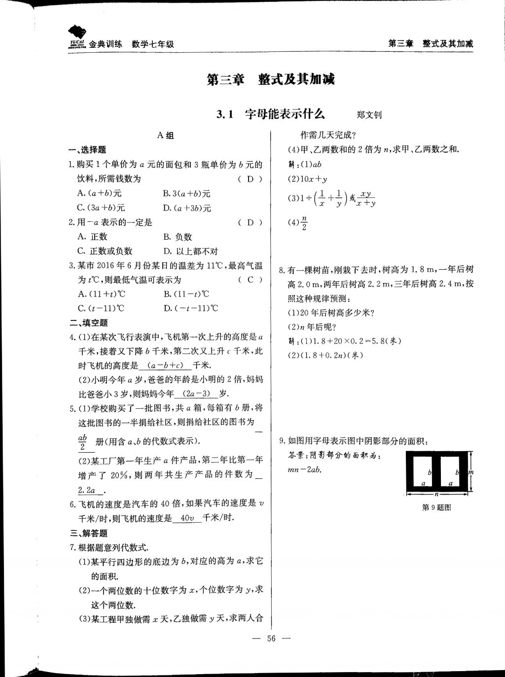 2017年金典训练七年级数学上册北师大版 参考答案第56页