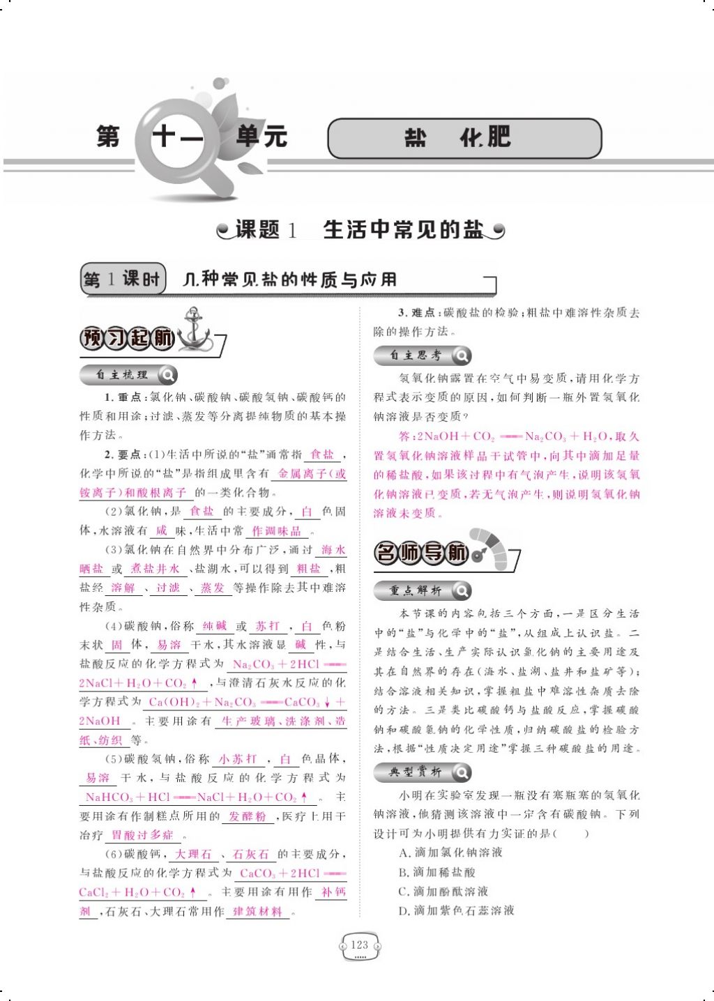 2017年領(lǐng)航新課標練習冊九年級化學全一冊人教版 參考答案第147頁