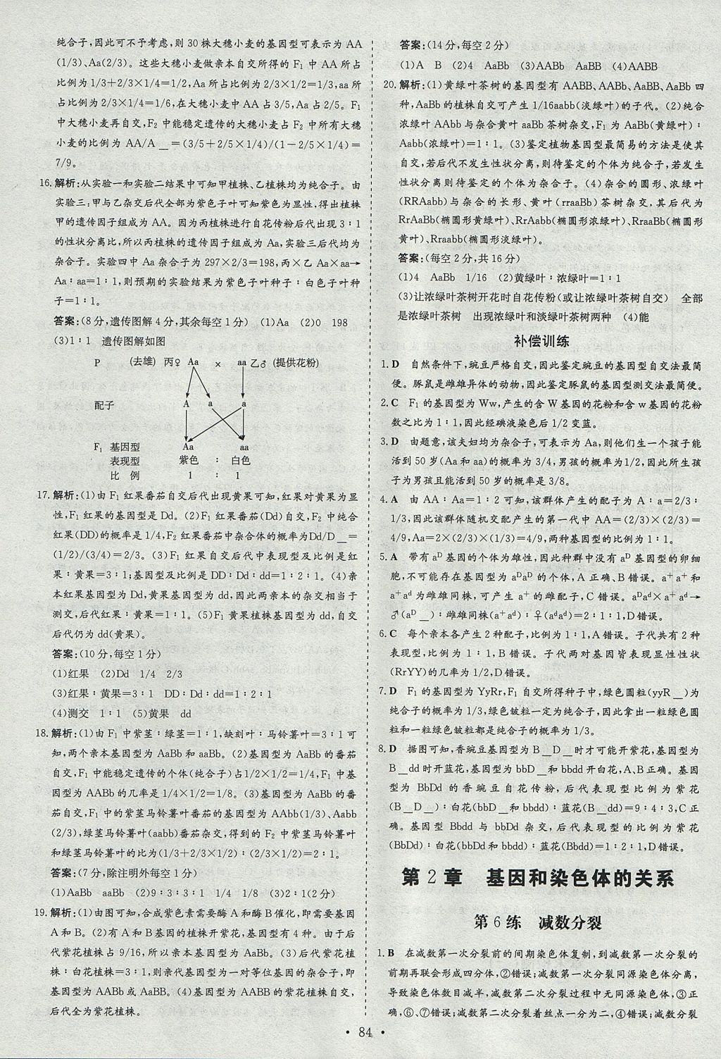 2018年小題巧練生物必修2人教版 參考答案第6頁