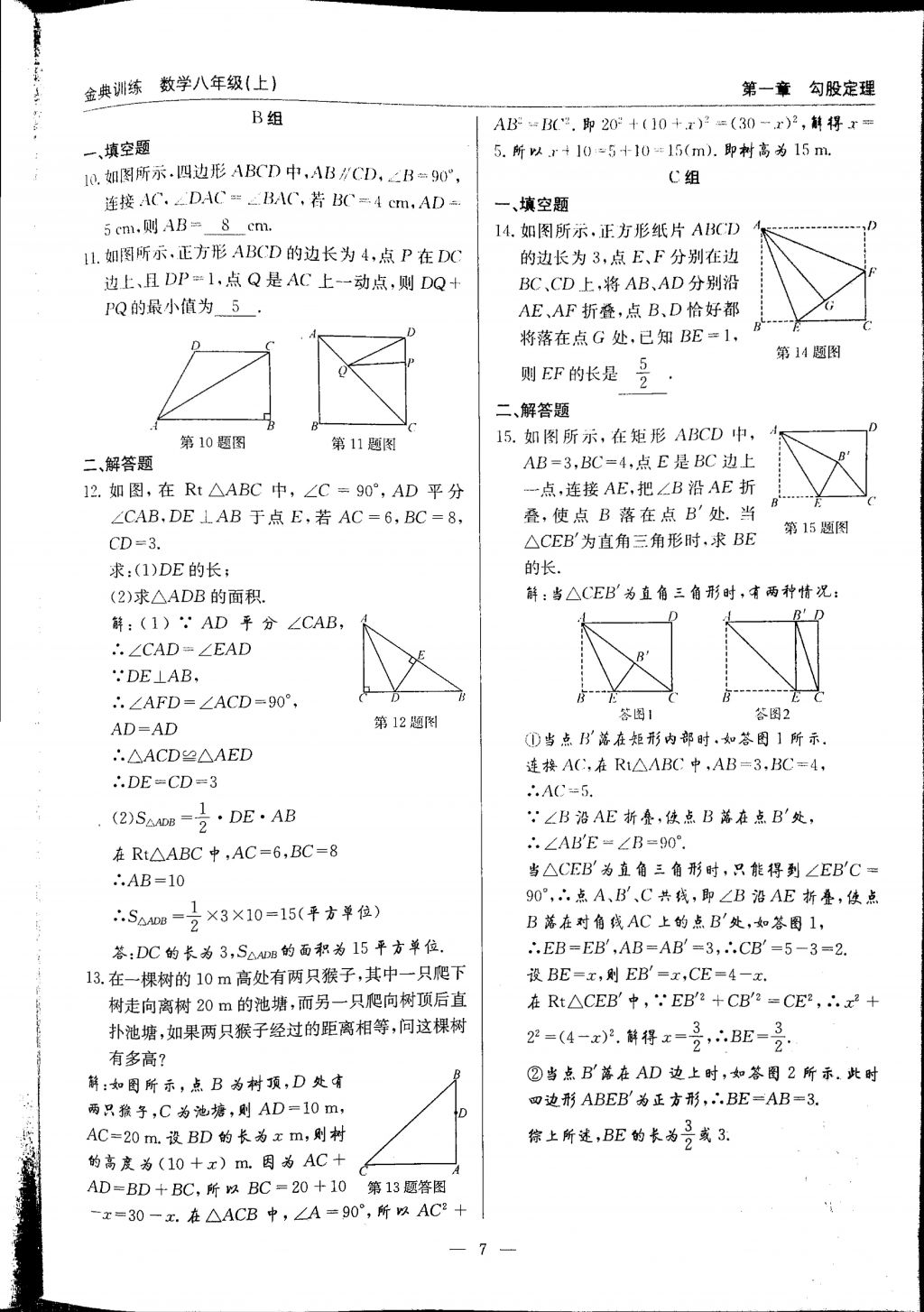 2017年金典訓(xùn)練八年級數(shù)學(xué)上冊北師大版 參考答案第7頁