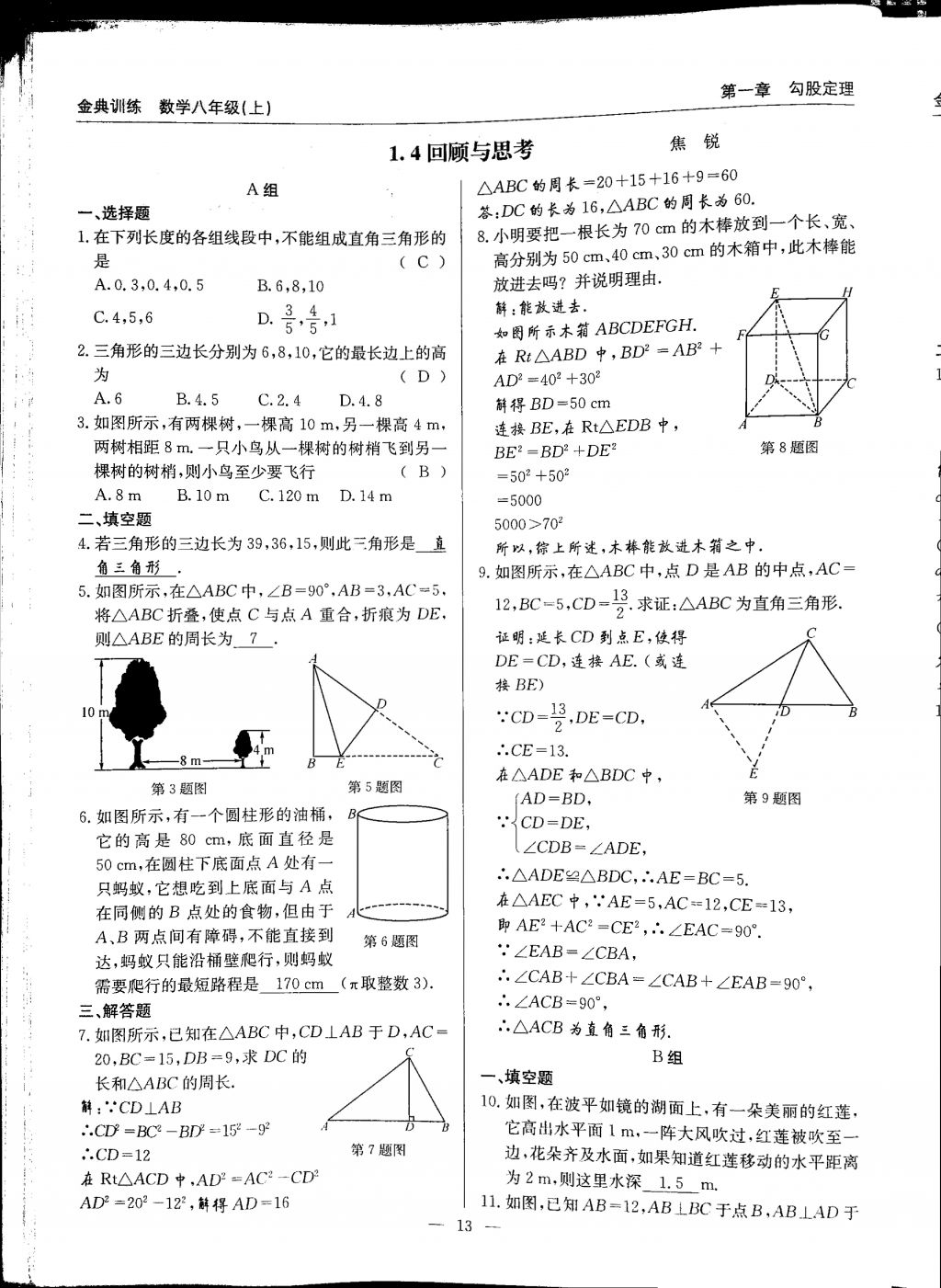 2017年金典訓練八年級數(shù)學上冊北師大版 參考答案第13頁