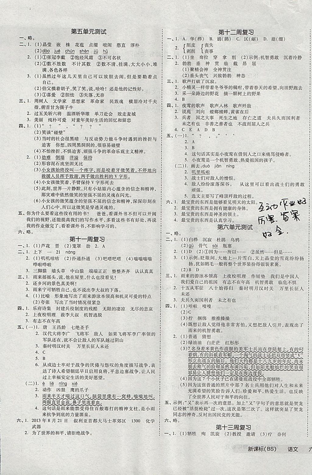 2017年全品小复习六年级语文上册北师大版 参考答案第5页