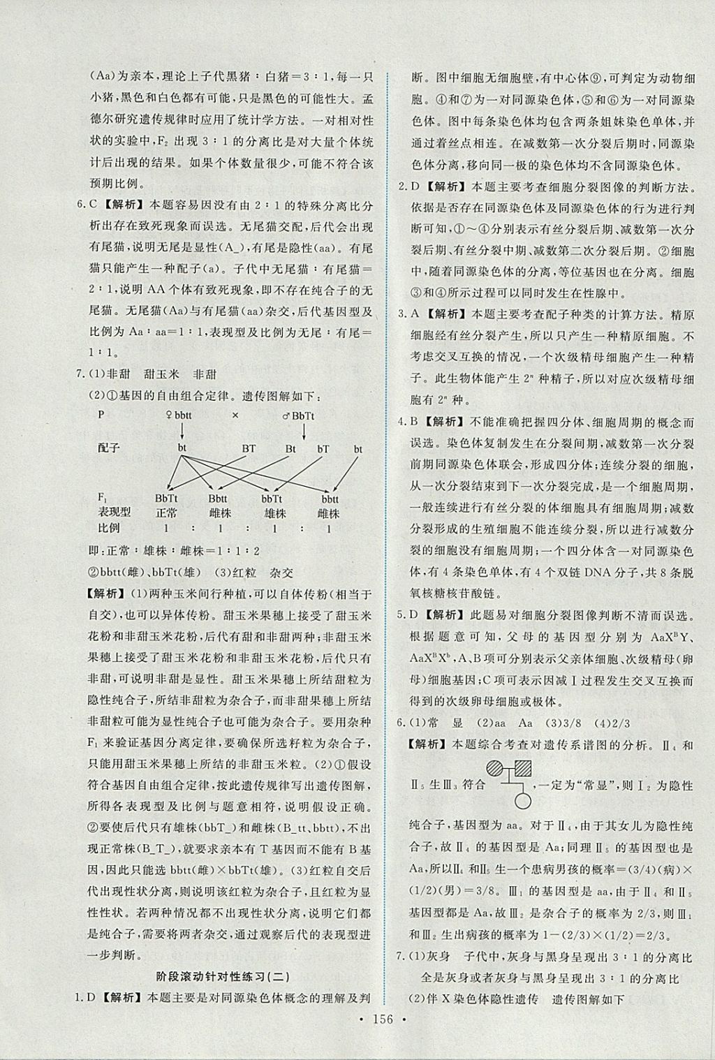 2018年能力培養(yǎng)與測(cè)試生物必修2人教版 參考答案第21頁(yè)