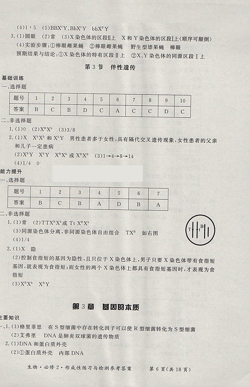 2018年形成性練習與檢測生物必修2 參考答案第6頁