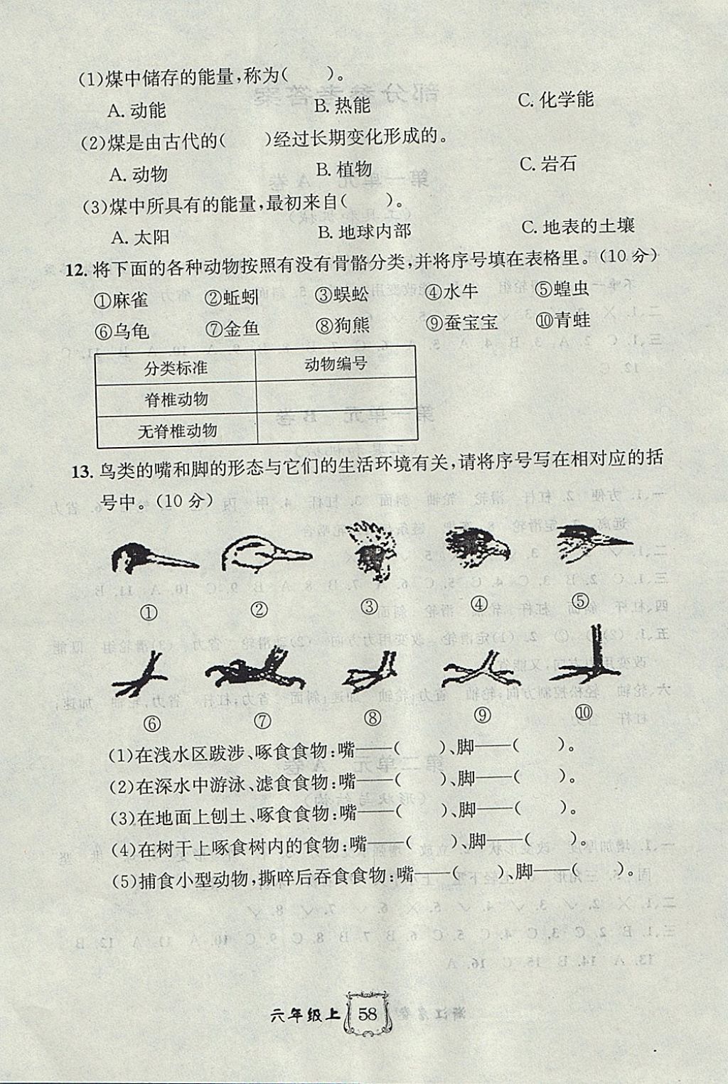 2017年浙江名卷六年級科學(xué)上冊教科版 參考答案第4頁