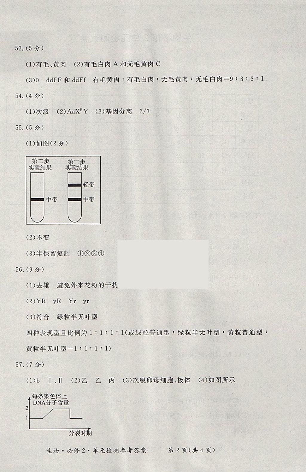 2018年形成性練習與檢測生物必修2 參考答案第22頁