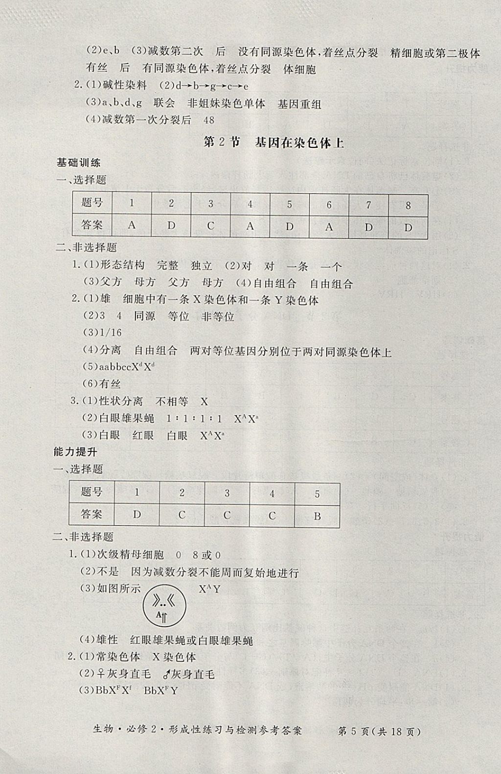 2018年形成性練習與檢測生物必修2 參考答案第5頁