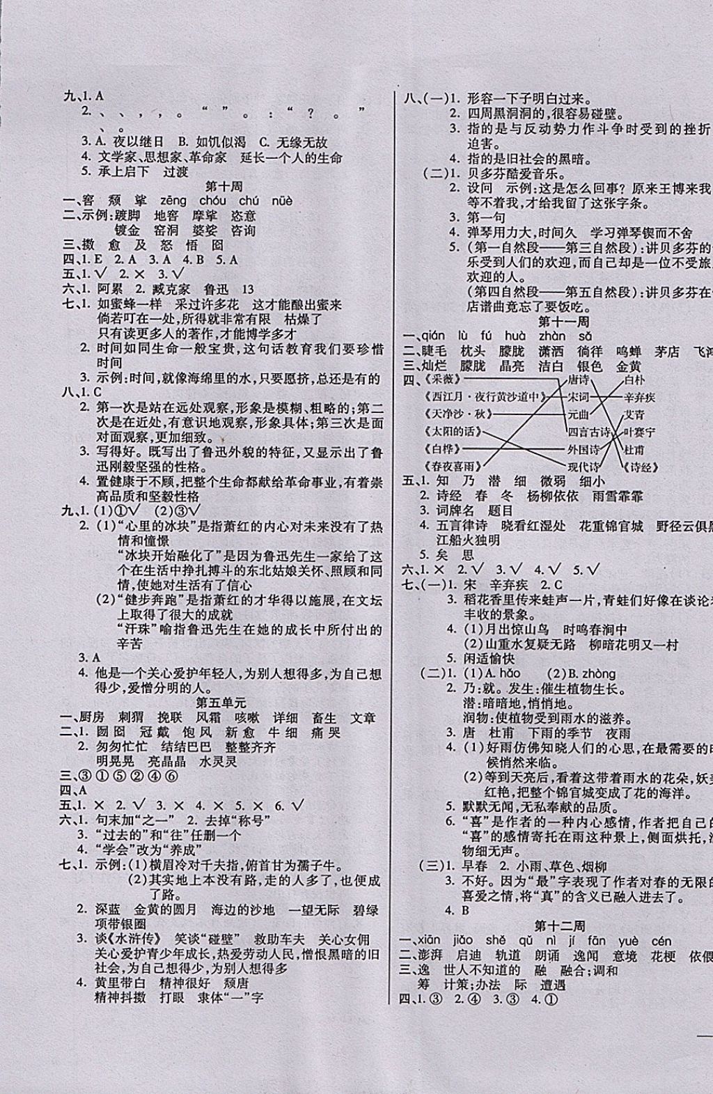 2017年小学周周大考卷六年级语文上册人教版 参考答案第5页