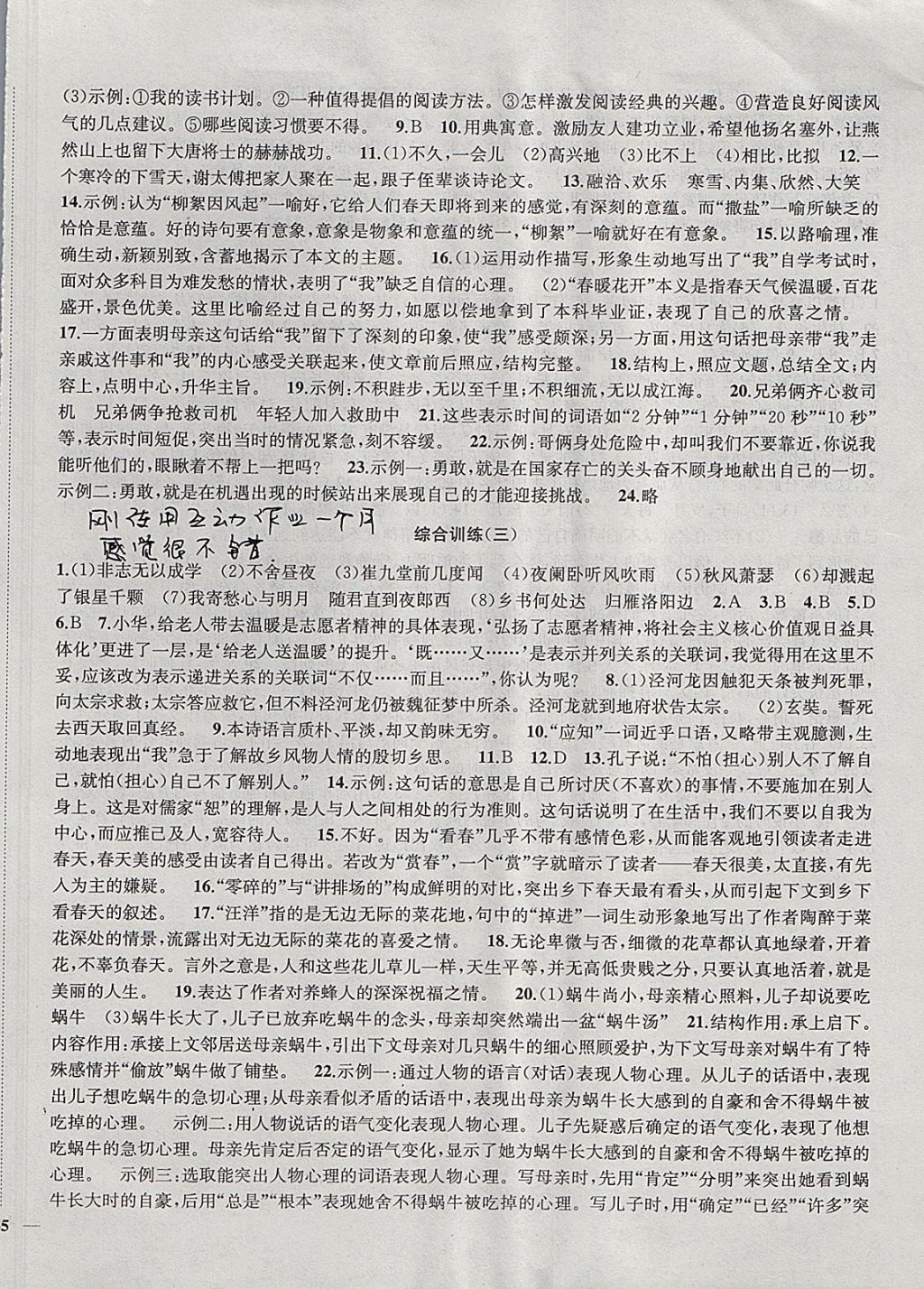 2017年金鑰匙沖刺名校大試卷七年級(jí)語(yǔ)文上冊(cè)全國(guó)版 參考答案第10頁(yè)