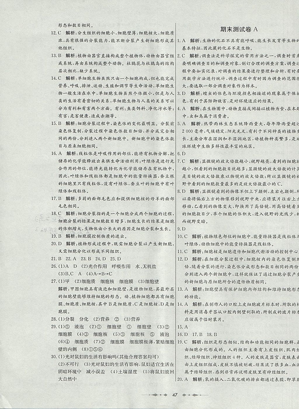 2017年金卷1號六年級生物上冊魯科版五四制 參考答案第7頁