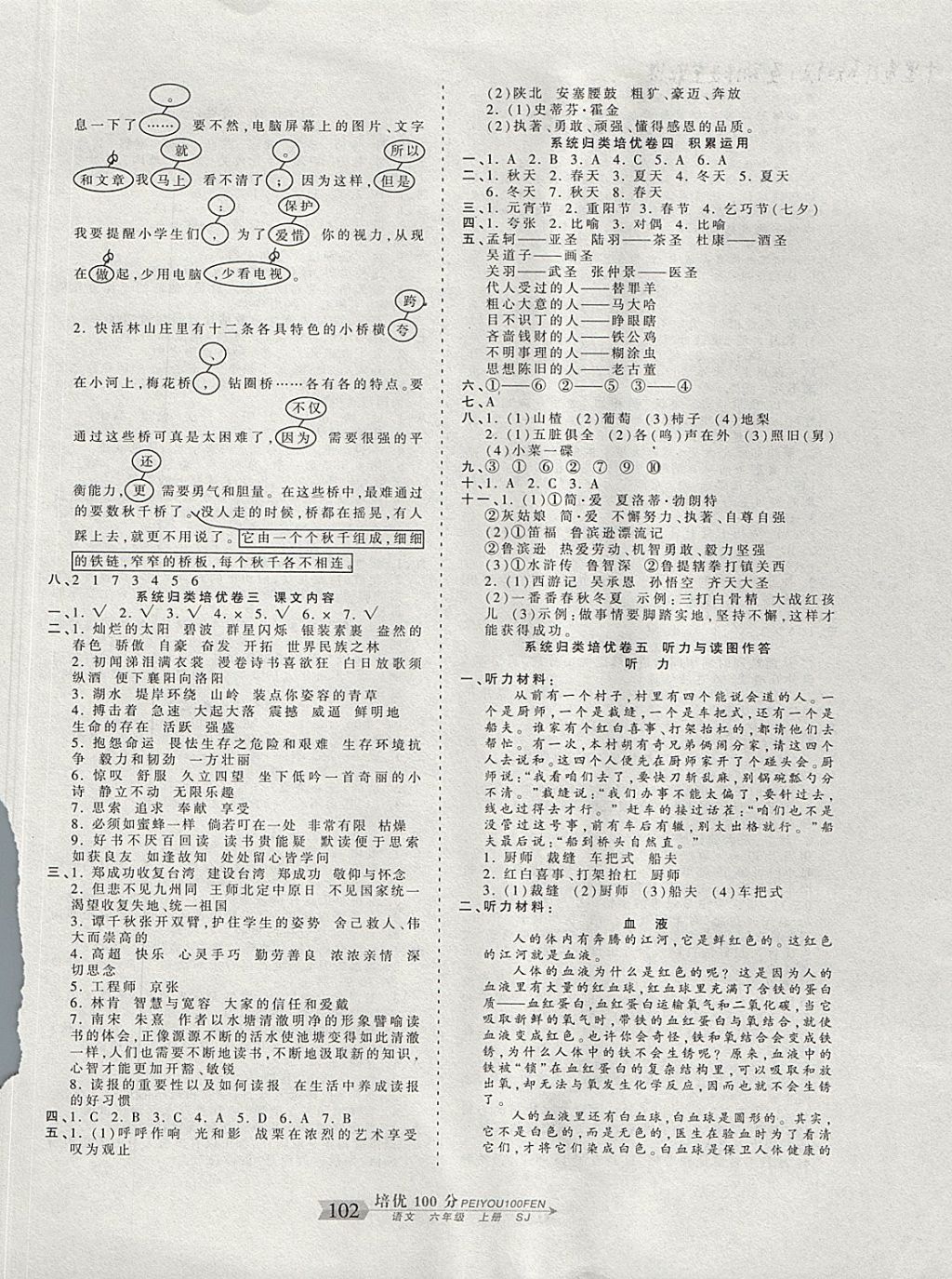 2017年王朝霞培优100分六年级语文上册苏教版 参考答案第6页