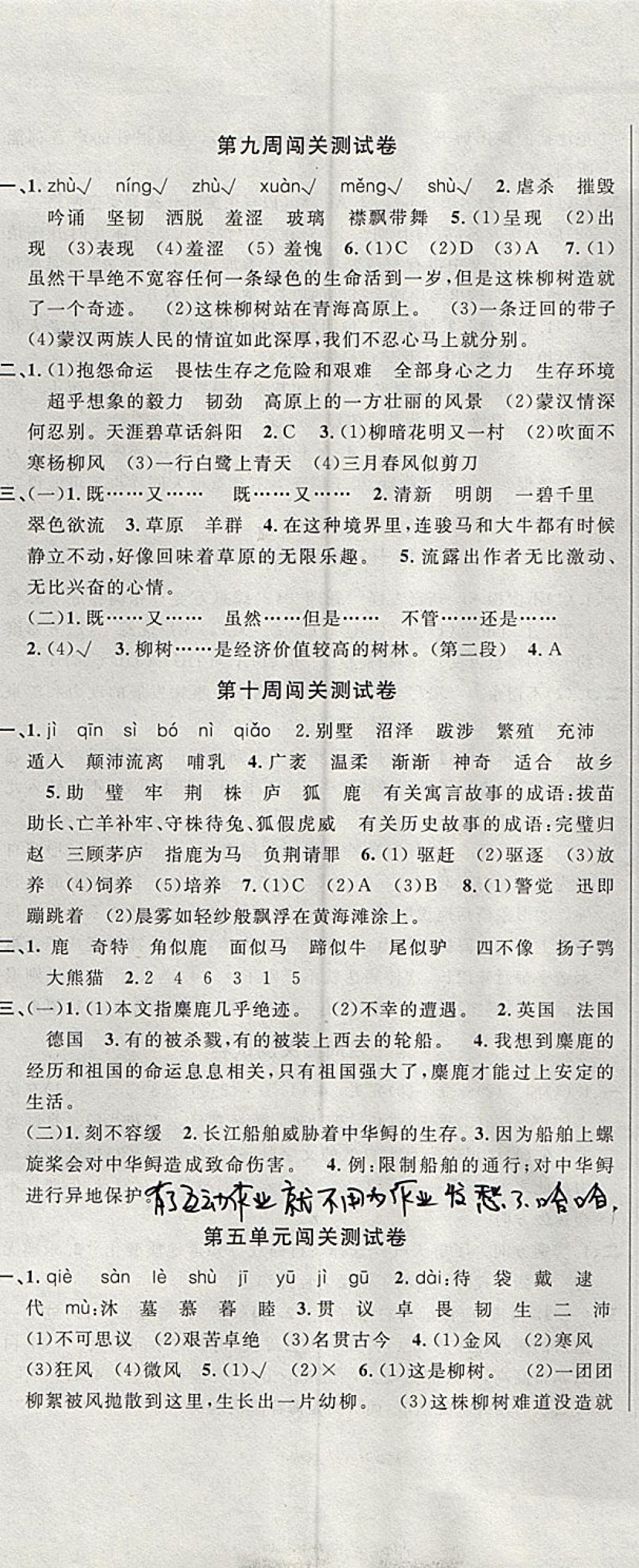 2017年课程达标测试卷闯关100分六年级语文上册苏教版 参考答案第8页