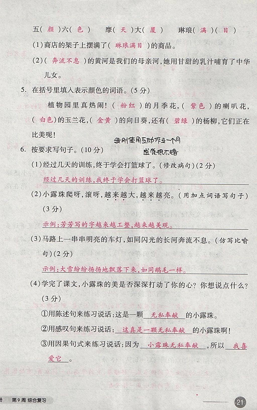 2017年全品小复习三年级语文上册苏教版 参考答案第42页