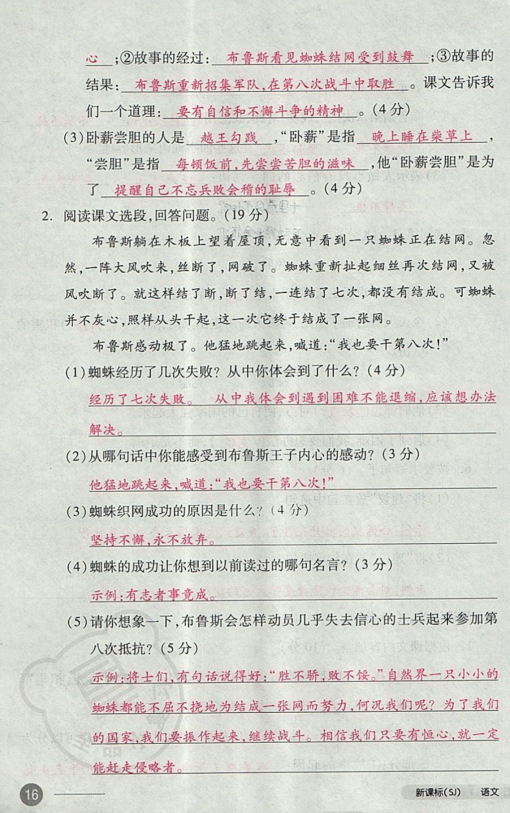 2017年全品小复习三年级语文上册苏教版 参考答案第31页