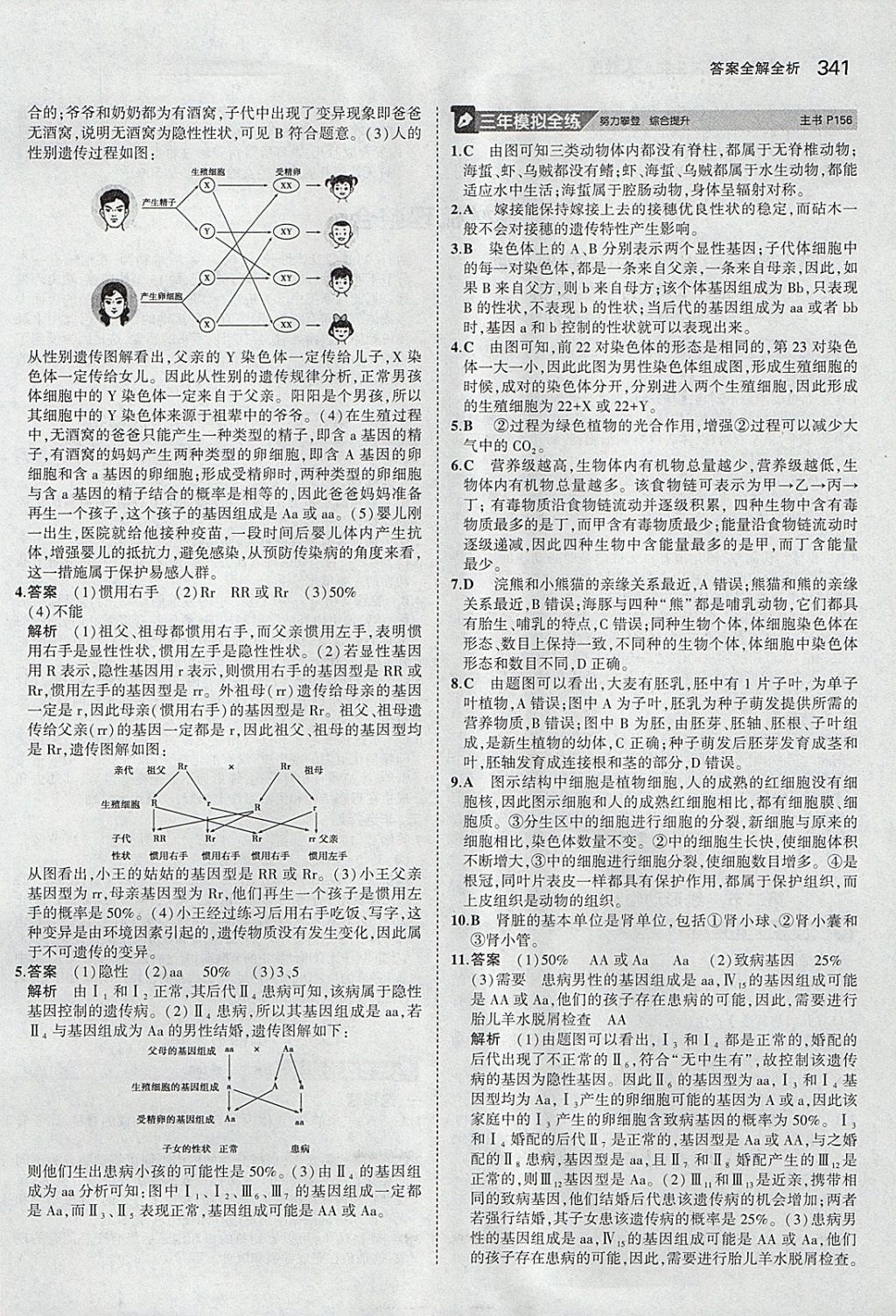 2018年5年中考3年模拟八年级加中考生物人教版 参考答案第45页