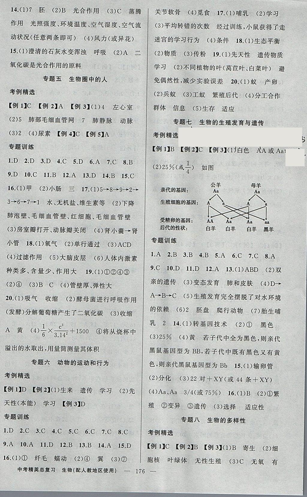 2018年黃岡金牌之路中考精英總復(fù)習(xí)生物人教版 參考答案第10頁