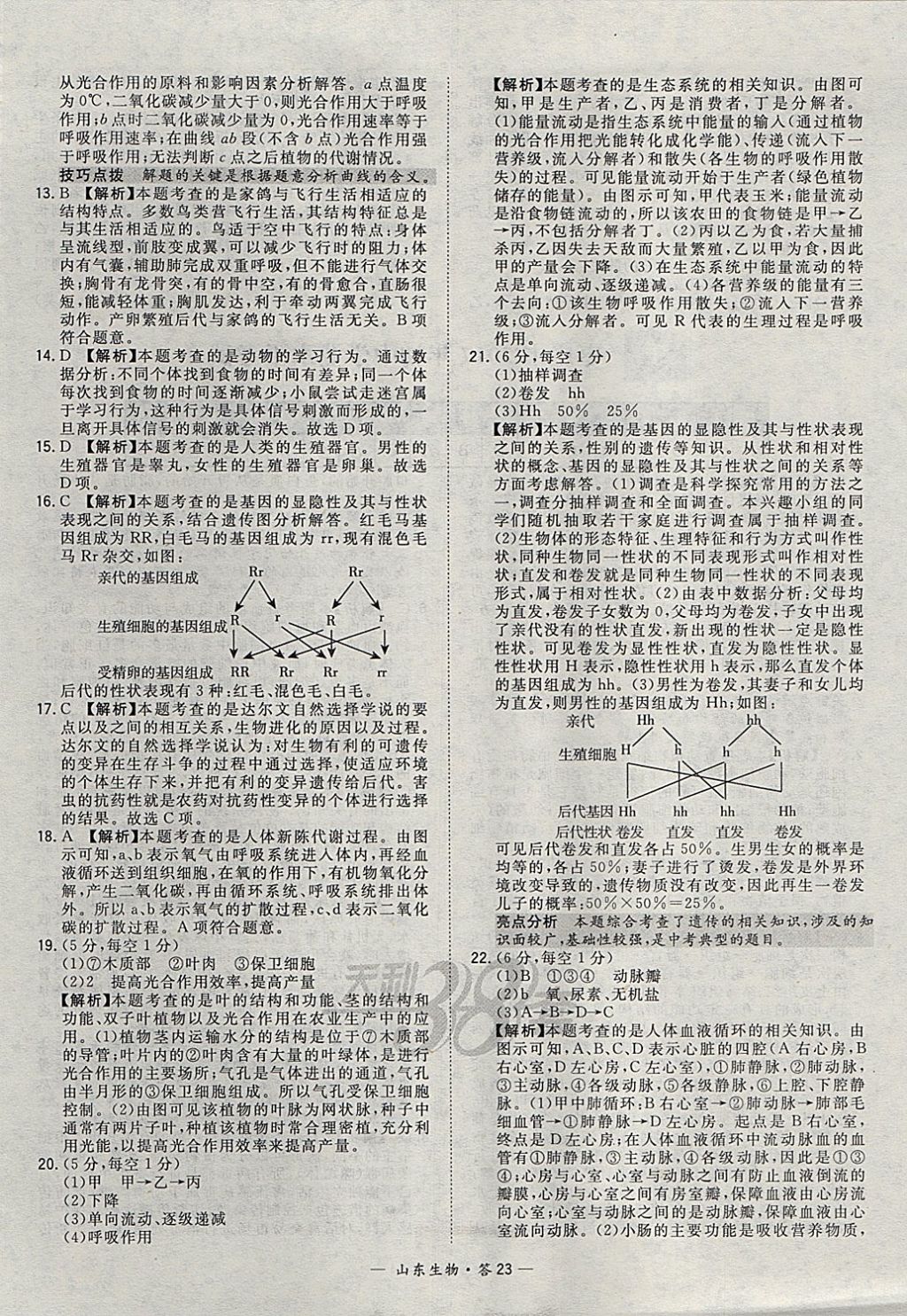 2018年天利38套山東省中考試題精選生物 參考答案第23頁