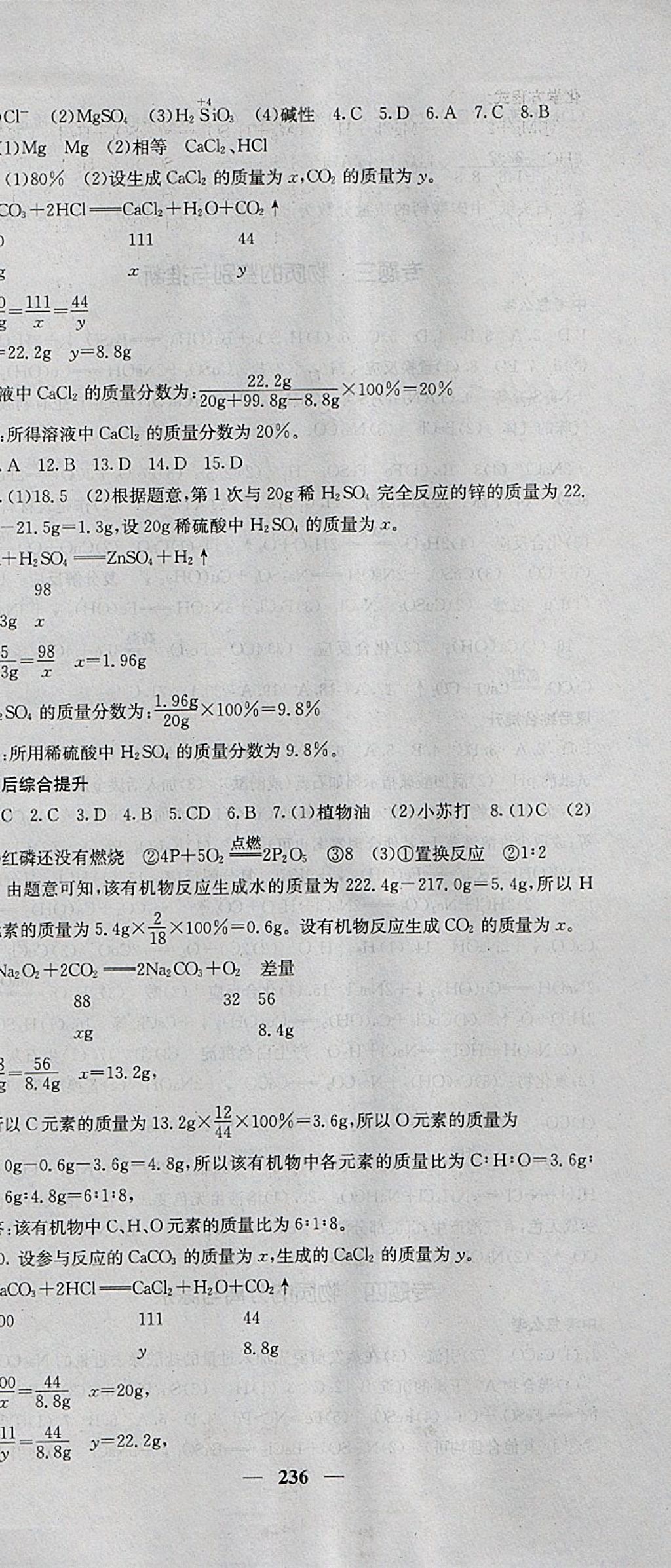 2018年中考新航線化學(xué)人教版 參考答案第21頁