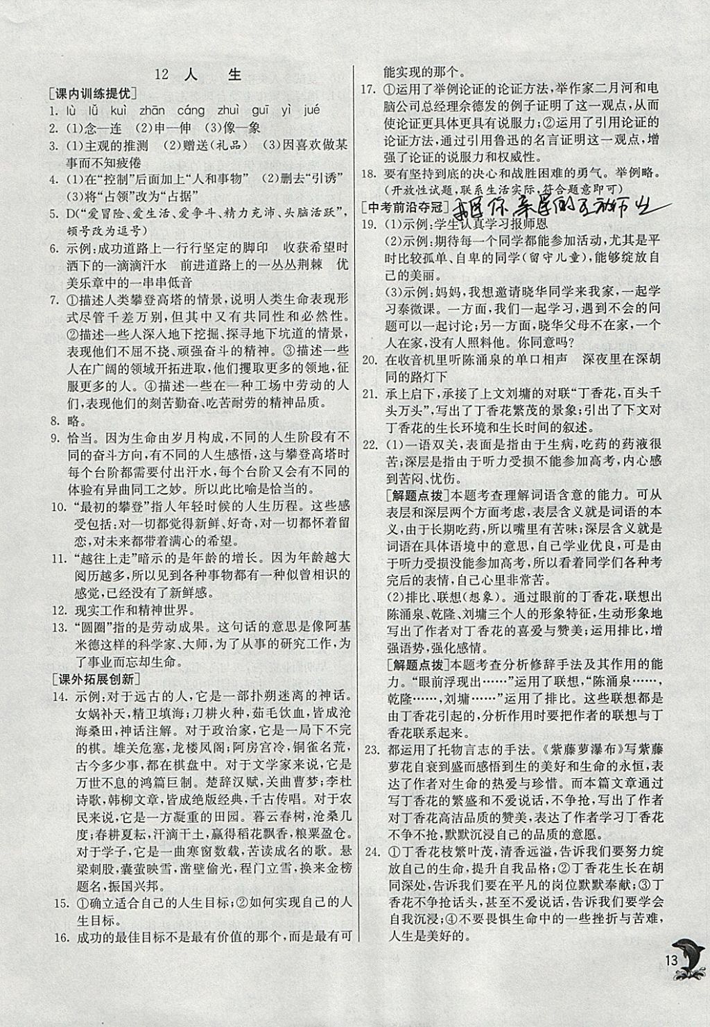 2018年實(shí)驗(yàn)班提優(yōu)訓(xùn)練九年級語文下冊人教版 參考答案第13頁