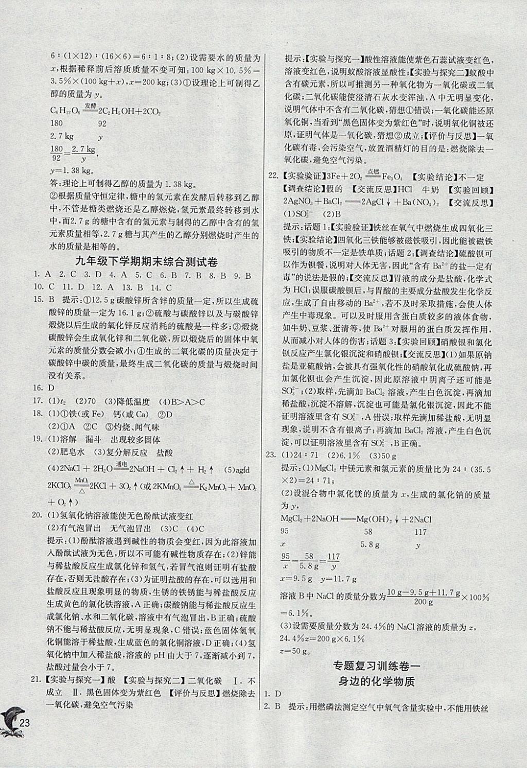 2018年实验班提优训练九年级化学下册沪教版 参考答案第23页