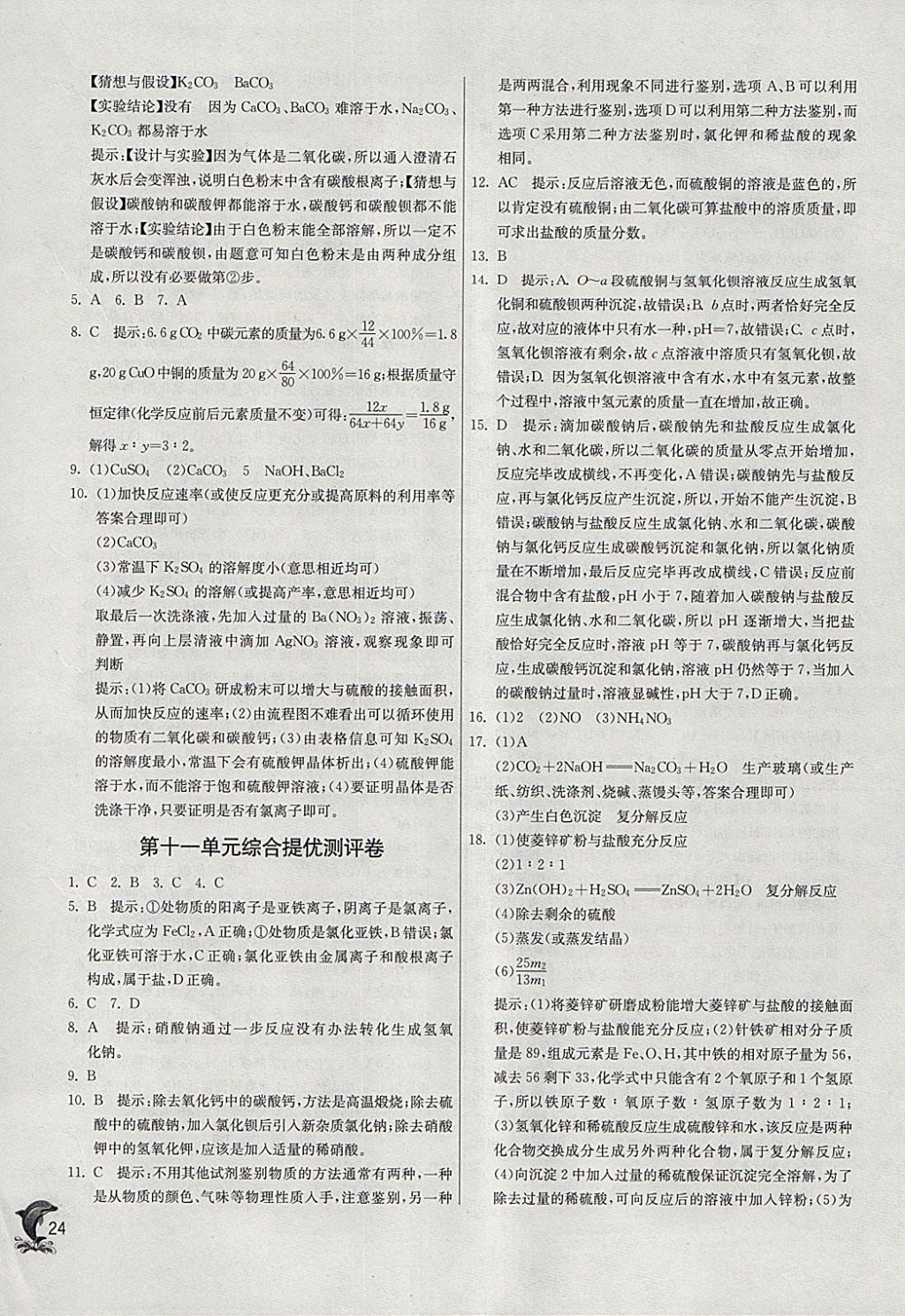 2018年实验班提优训练九年级化学下册人教版 参考答案第24页