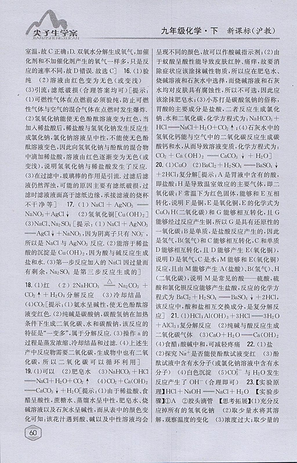 2018年尖子生學(xué)案九年級化學(xué)下冊滬教版 參考答案第46頁