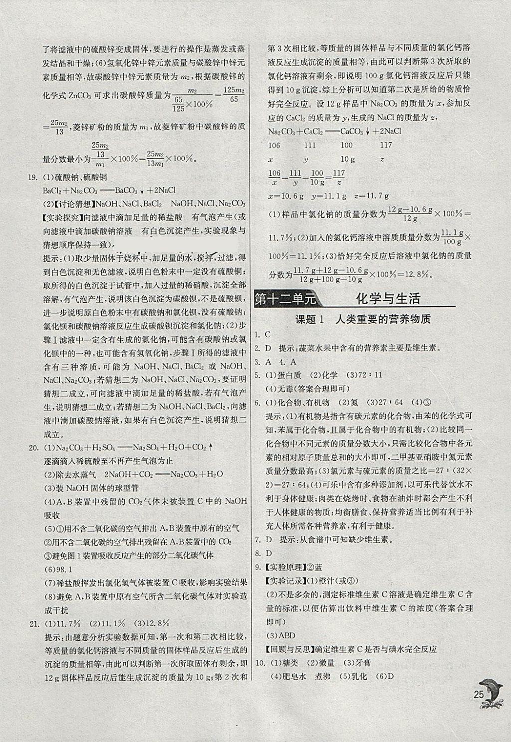 2018年实验班提优训练九年级化学下册人教版 参考答案第25页