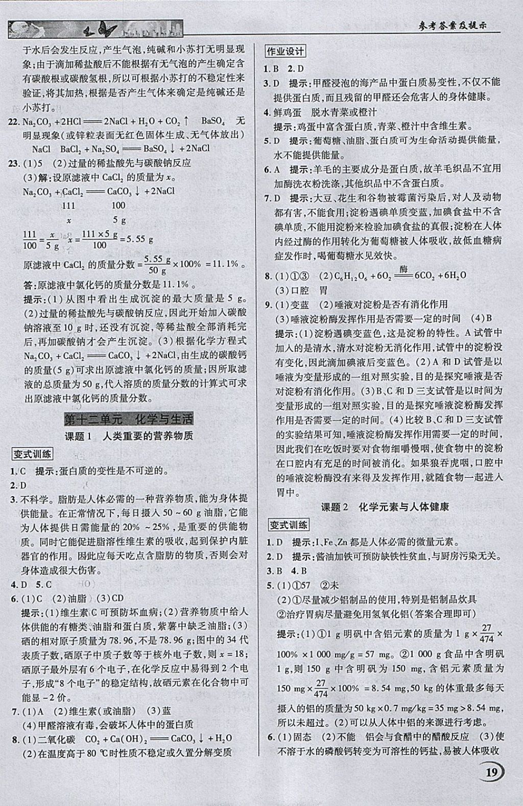 2018年英才教程中學奇跡課堂教材解析完全學習攻略九年級化學下冊人教版 參考答案第19頁