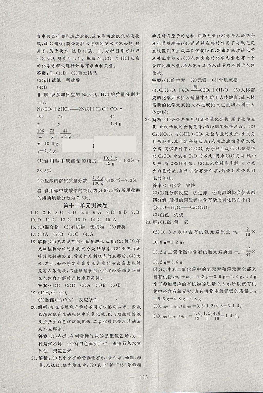 2018年自主訓(xùn)練九年級化學(xué)下冊人教版 參考答案第19頁