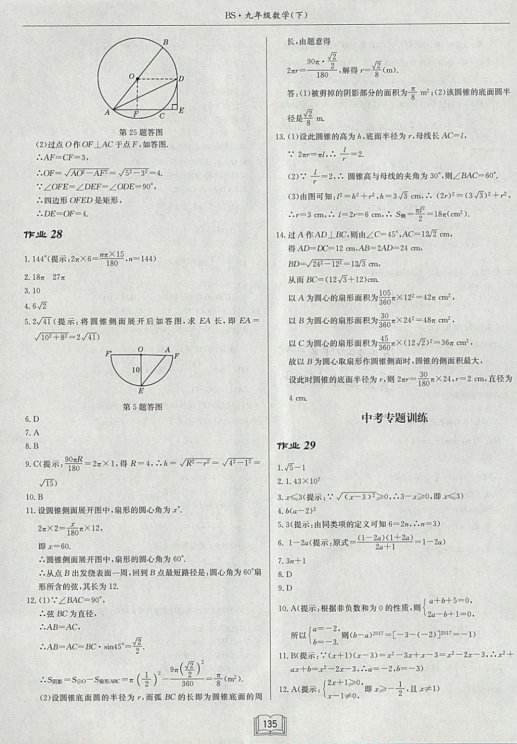 2018年啟東中學作業(yè)本九年級數(shù)學下冊北師大版 參考答案第19頁