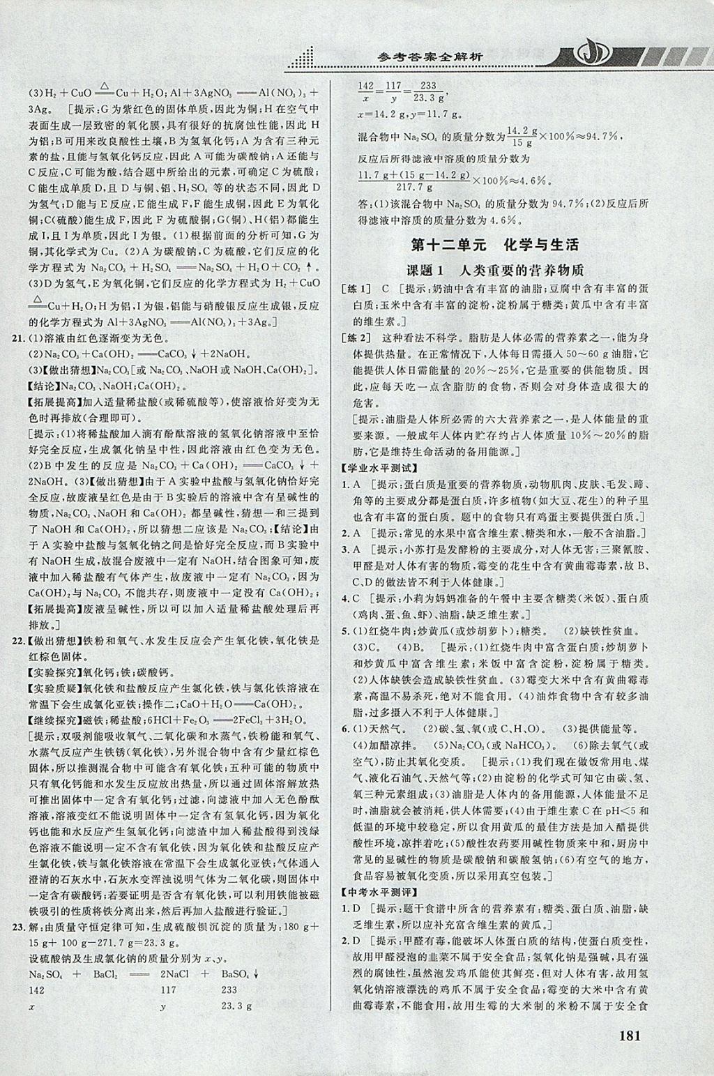 2018年重難點手冊九年級化學(xué)下冊人教版 參考答案第14頁