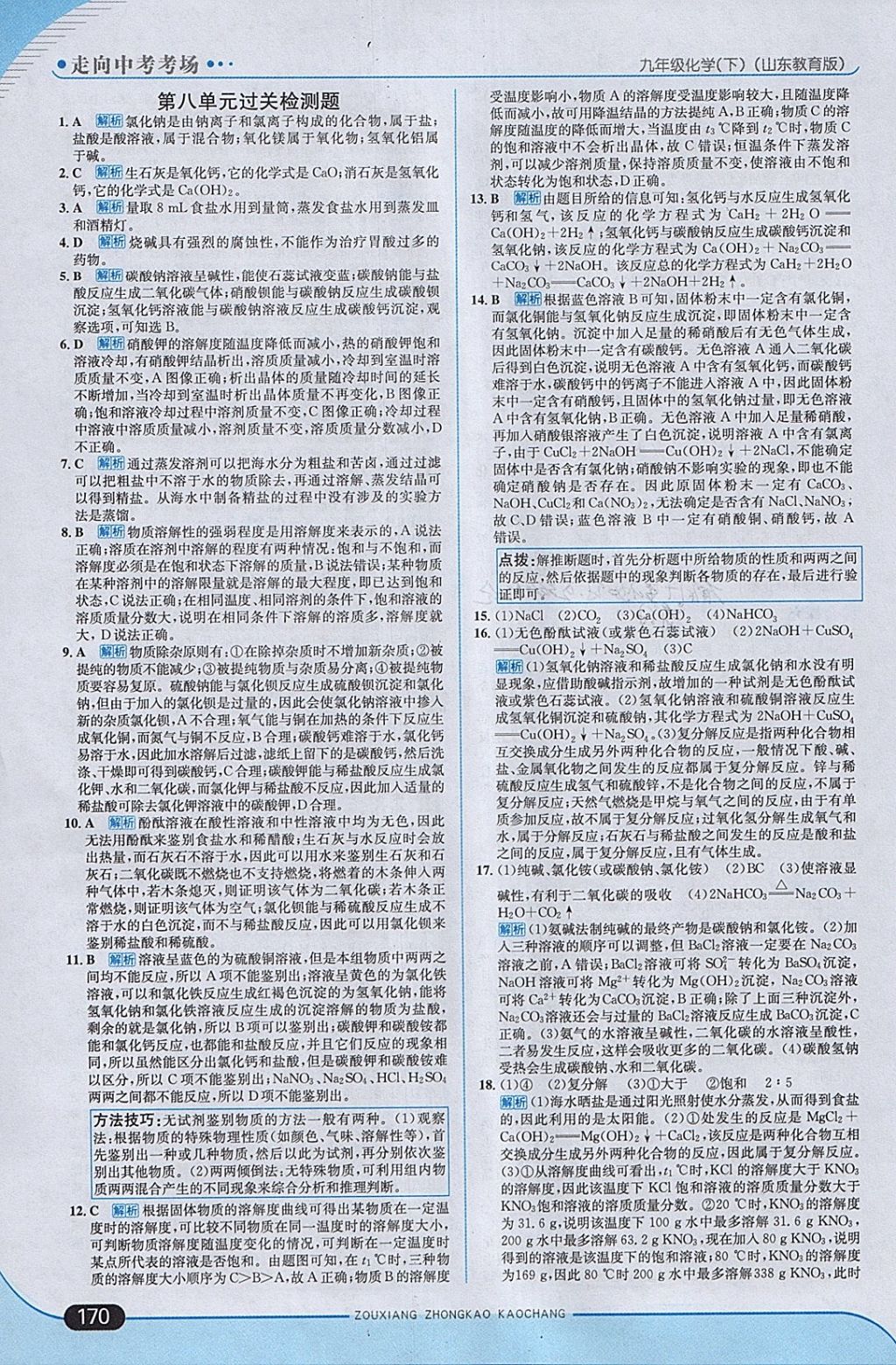 2018年走向中考考場九年級化學(xué)下冊魯教版 參考答案第12頁