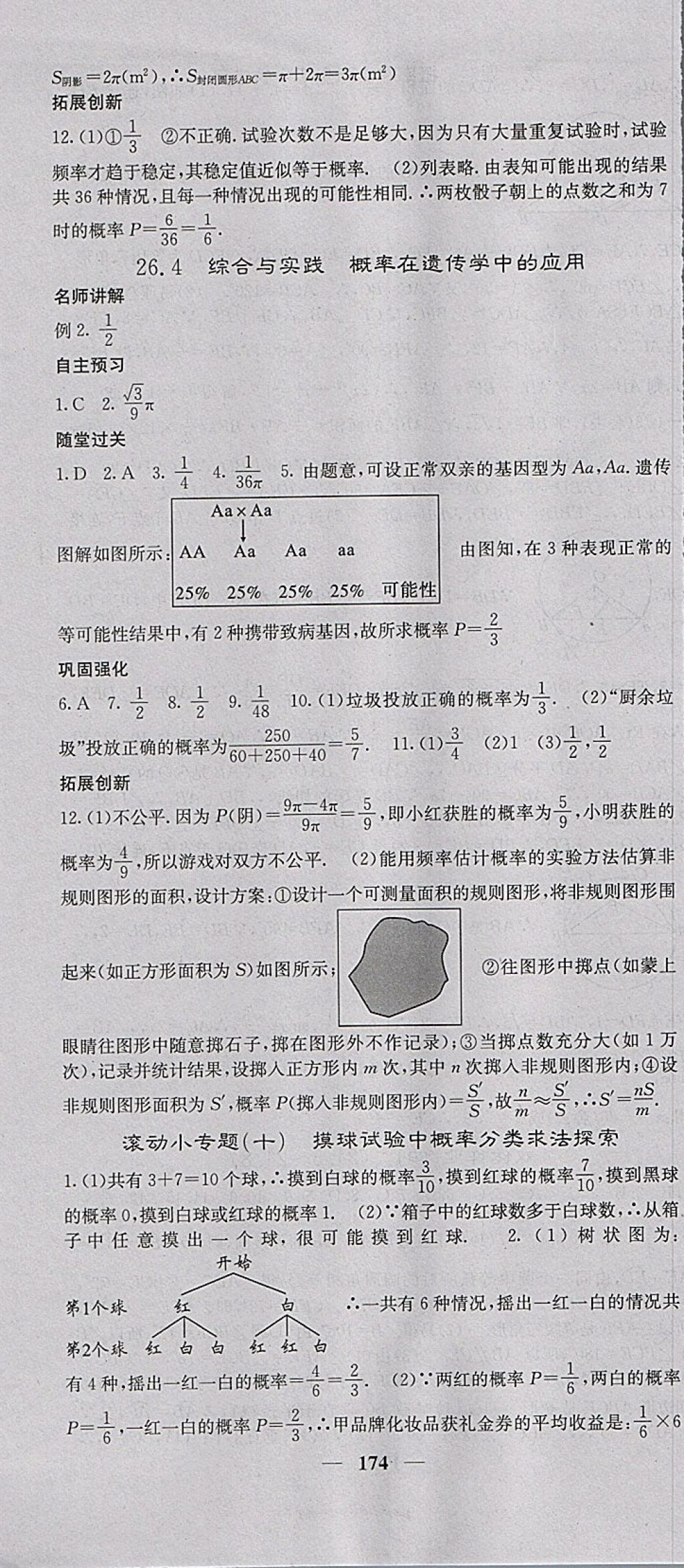 2018年課堂點睛九年級數學下冊滬科版 參考答案第31頁