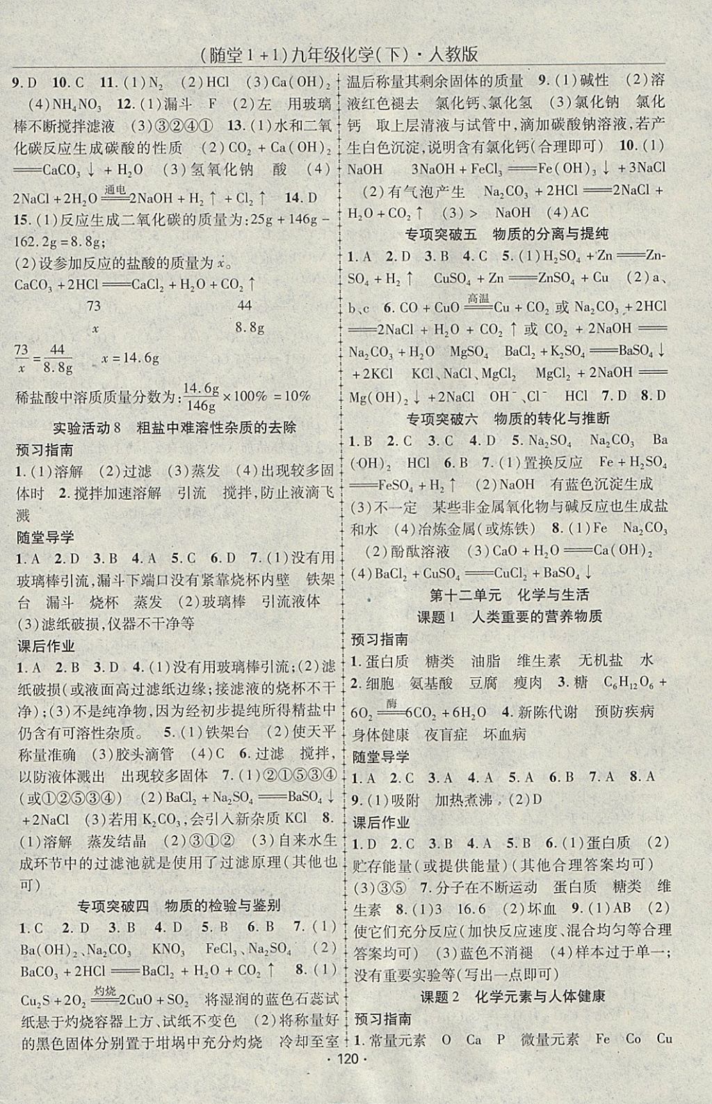 2018年随堂1加1导练九年级化学下册人教版 参考答案第8页