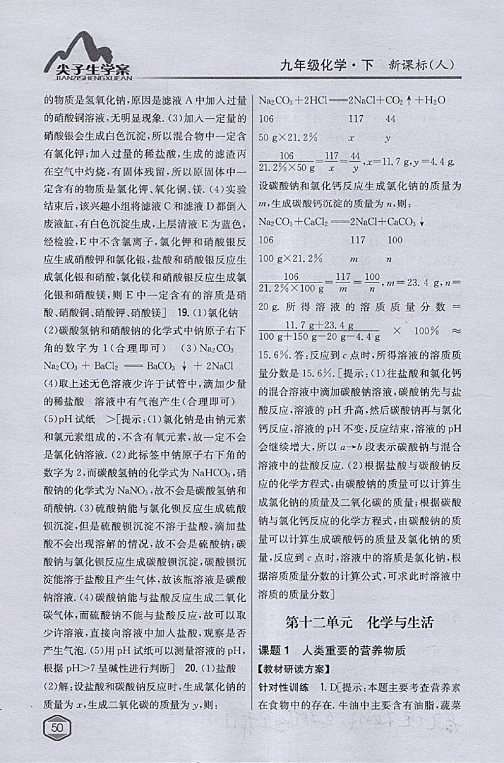 2018年尖子生学案九年级化学下册人教版 参考答案第39页