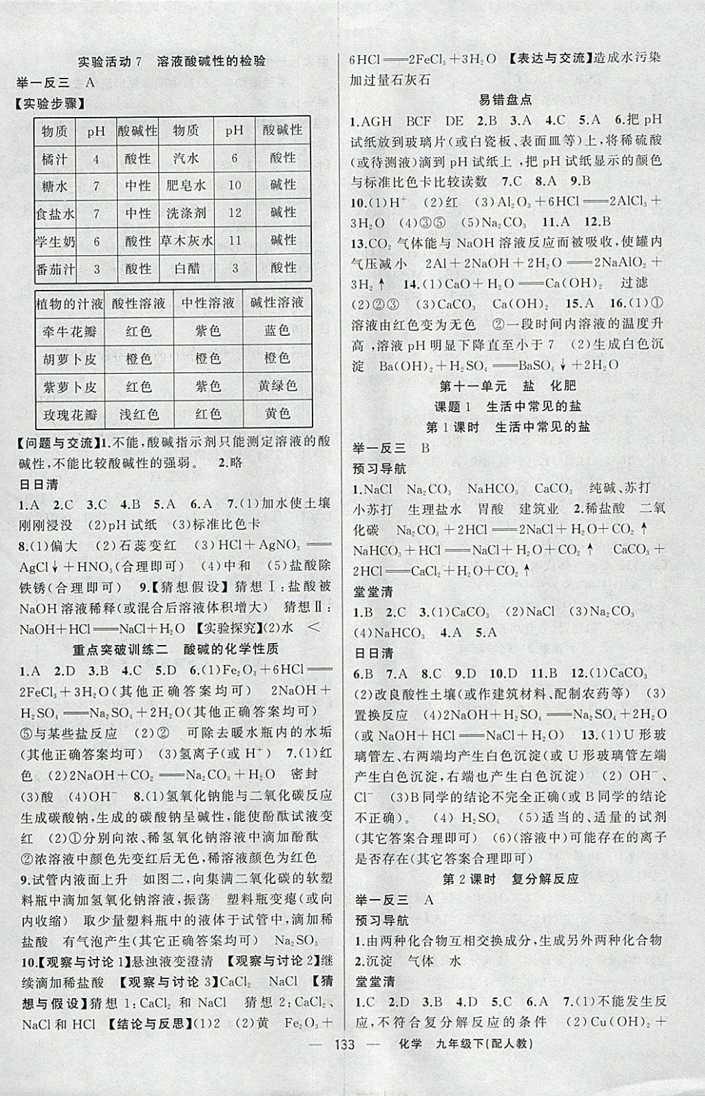 2018年四清导航九年级化学下册人教版 参考答案第6页