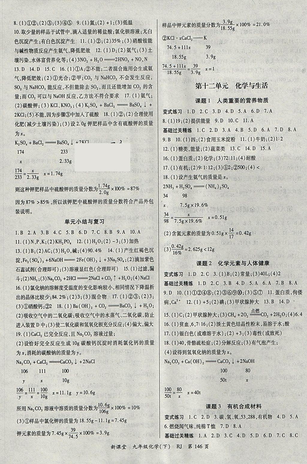 2018年启航新课堂名校名师同步学案九年级化学下册人教版 参考答案第6页