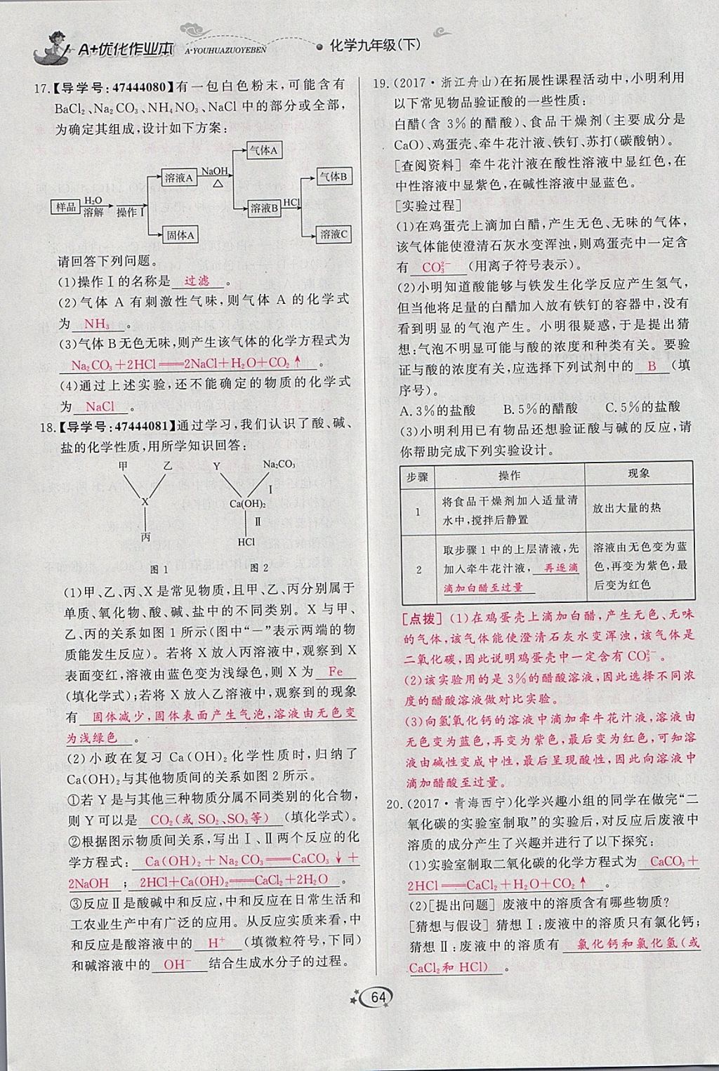 2018年A加优化作业本九年级化学下册人教版 参考答案第49页