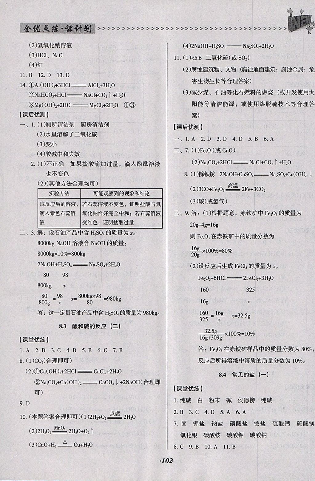 2018年全优点练课计划九年级化学下册科粤版 参考答案第9页