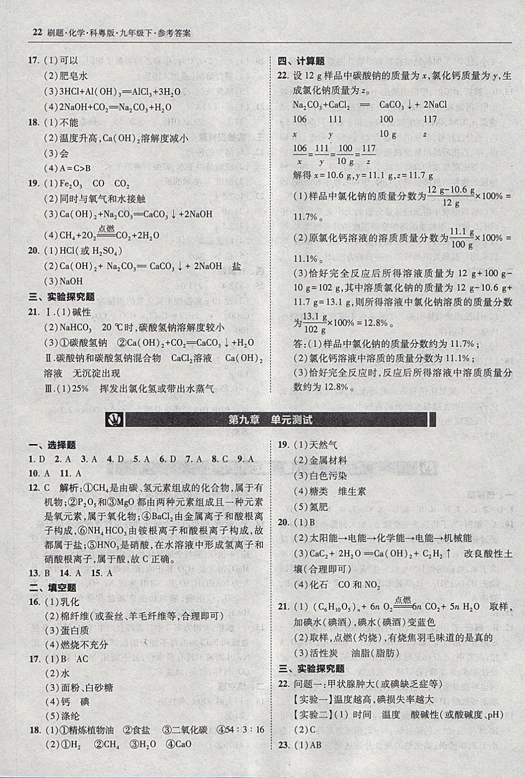 2018年北大绿卡刷题九年级化学下册科粤版 参考答案第21页