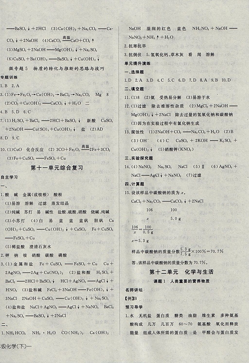 2018年探究在線高效課堂九年級化學下冊 參考答案第12頁