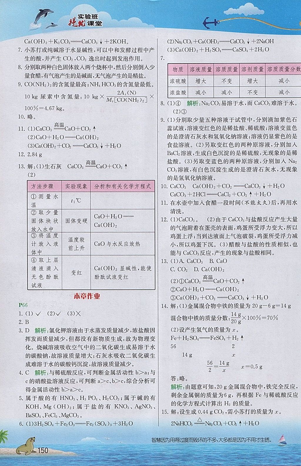 2018年实验班提优课堂九年级化学下册沪教版 参考答案第3页