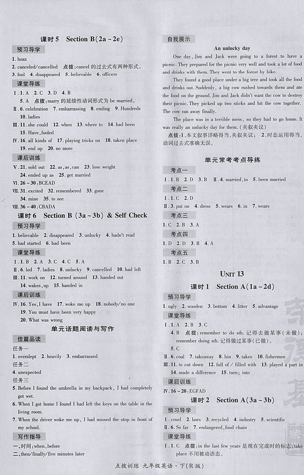 2018年點撥訓練九年級英語下冊人教版 參考答案第13頁