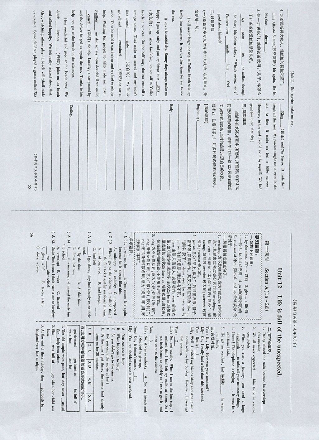 2018年指南针高分必备九年级英语下册人教版 参考答案第41页