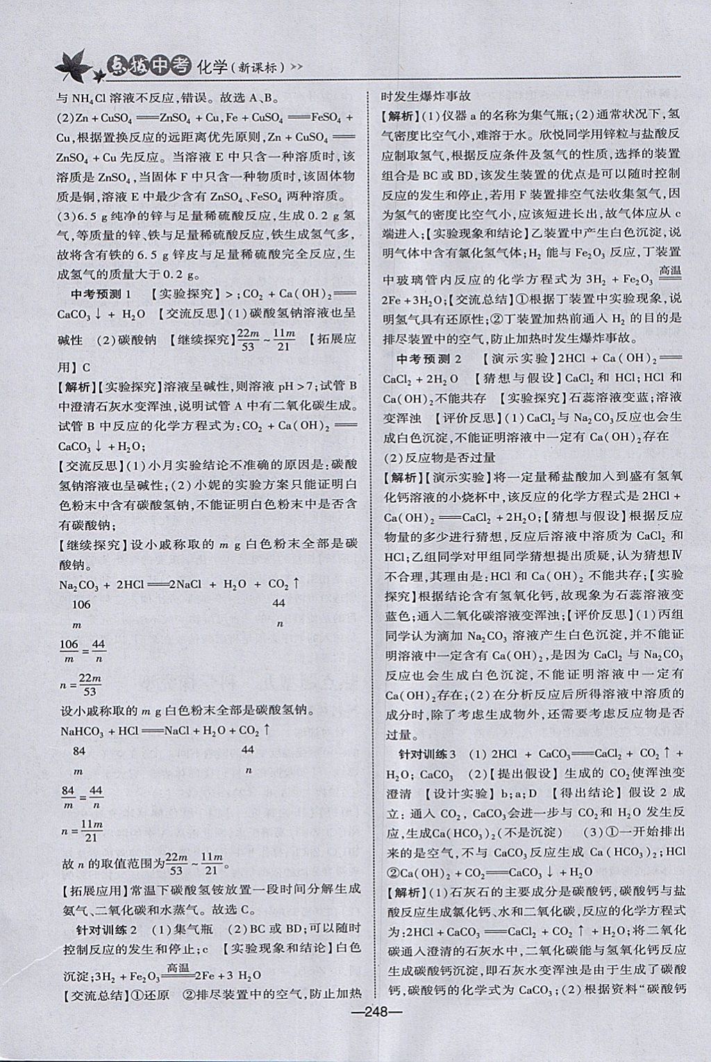 2018年荣德基点拨中考化学河北专用 参考答案第38页